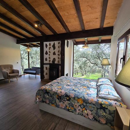 Nuevo Ecolodge Cabaneros Retuerta de Bullaque Zewnętrze zdjęcie