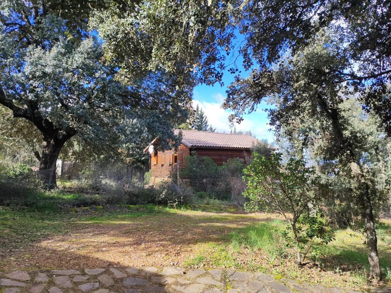 Nuevo Ecolodge Cabaneros Retuerta de Bullaque Zewnętrze zdjęcie