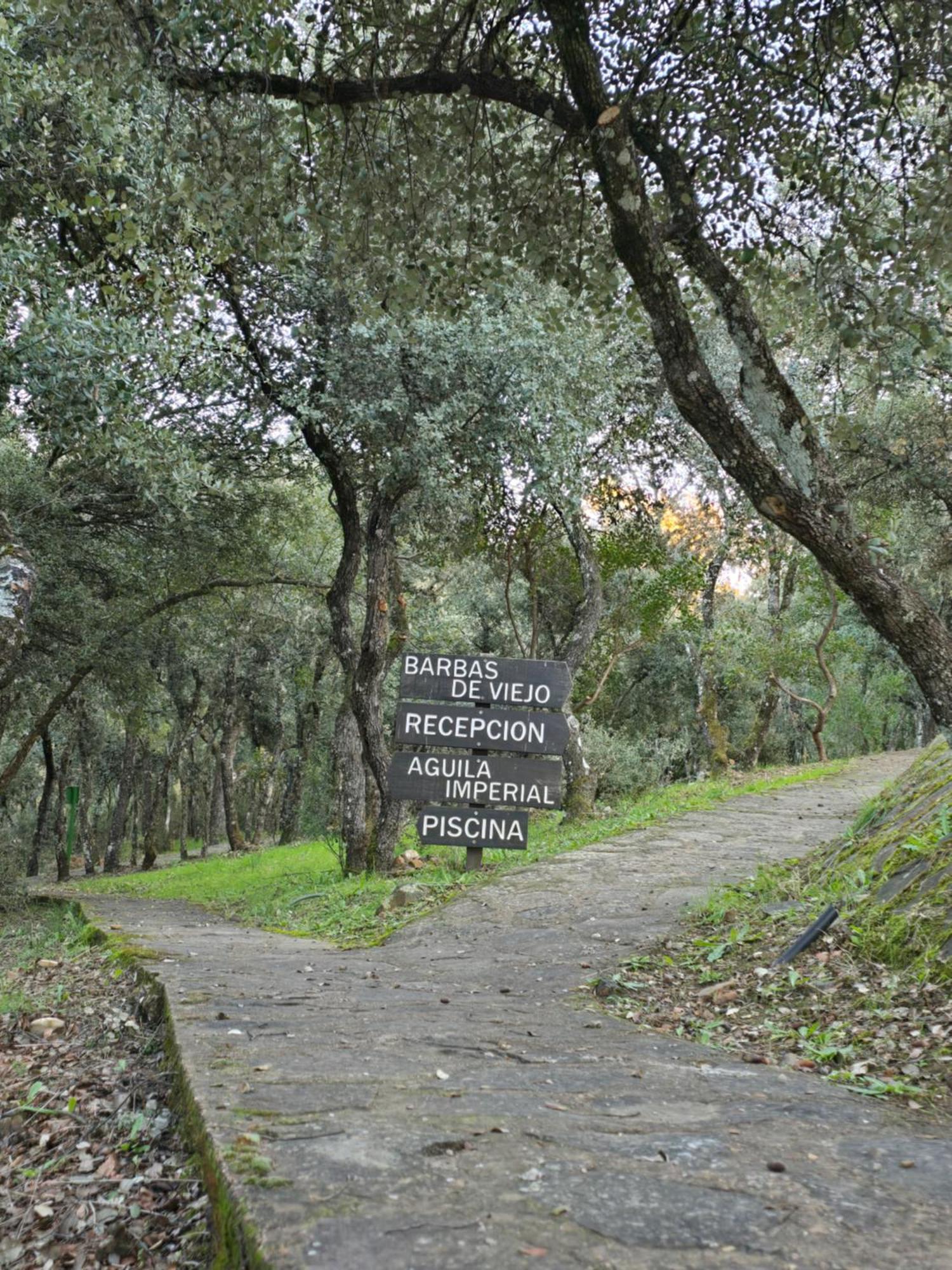 Nuevo Ecolodge Cabaneros Retuerta de Bullaque Zewnętrze zdjęcie