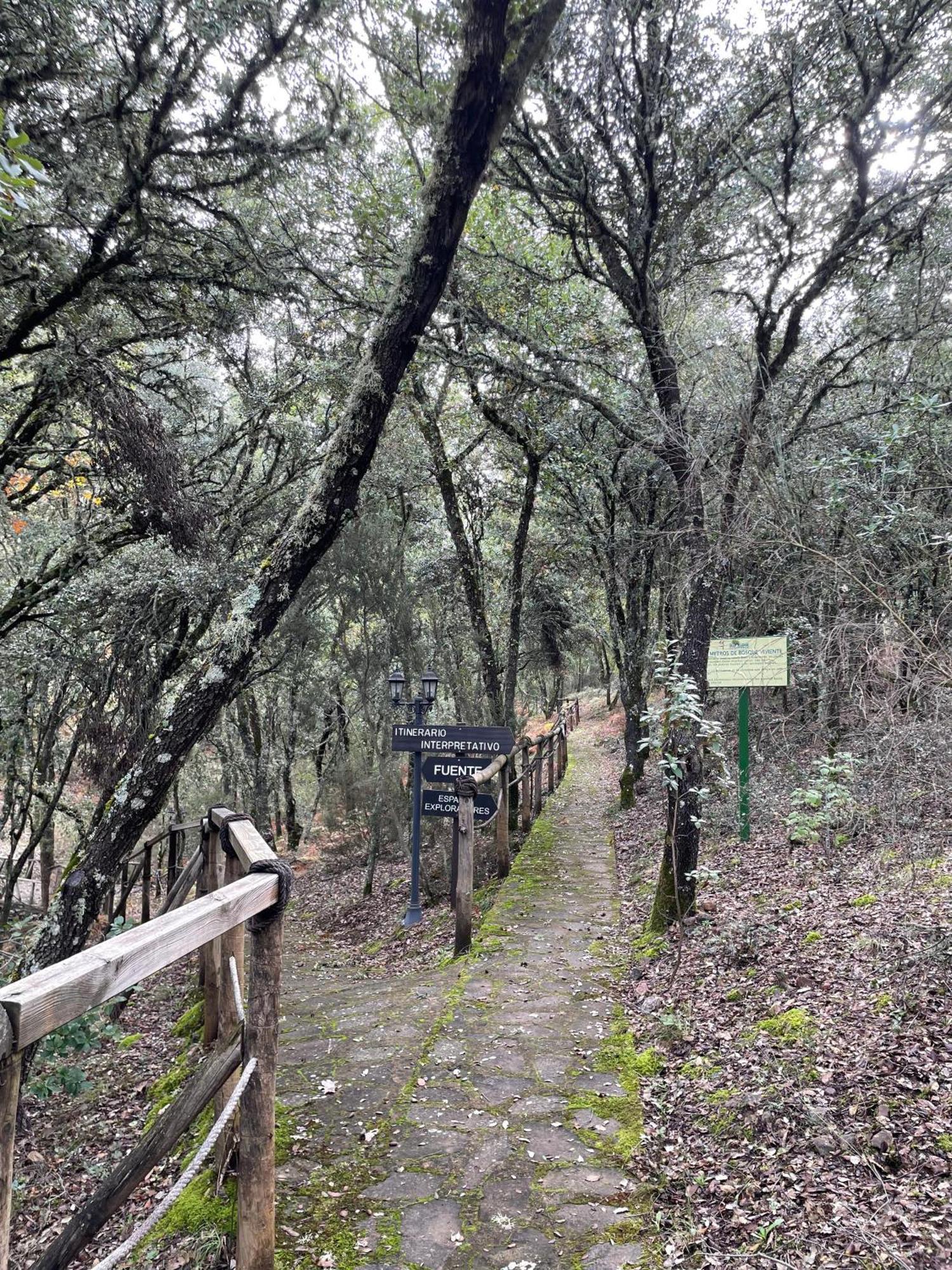 Nuevo Ecolodge Cabaneros Retuerta de Bullaque Zewnętrze zdjęcie