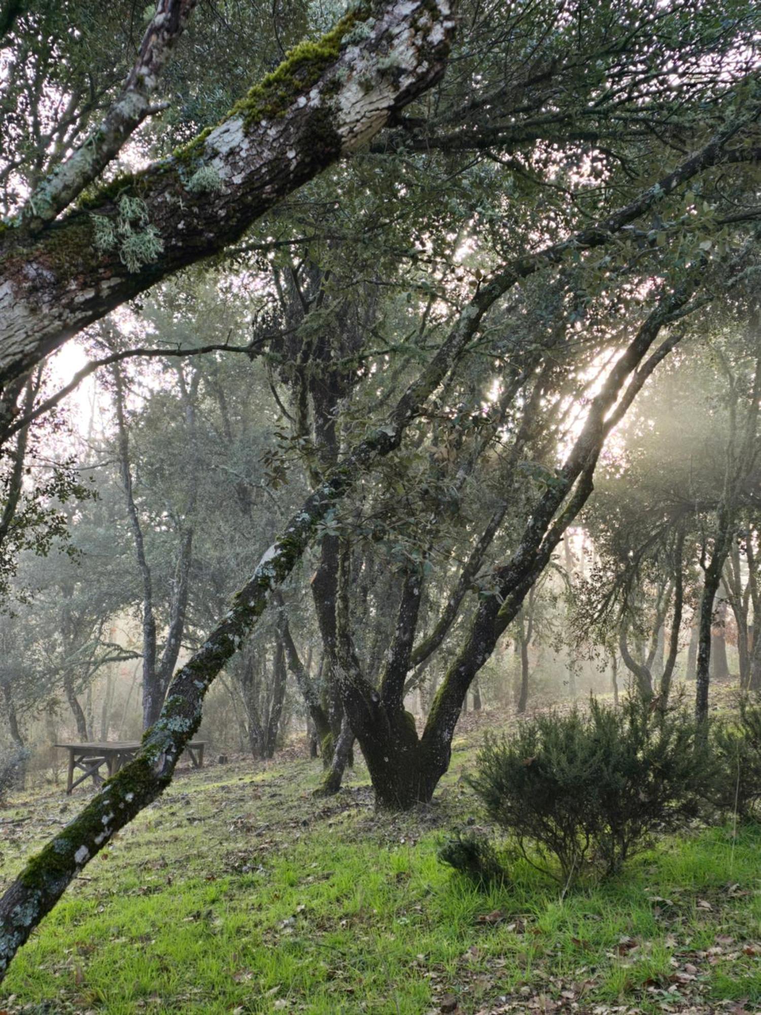 Nuevo Ecolodge Cabaneros Retuerta de Bullaque Zewnętrze zdjęcie