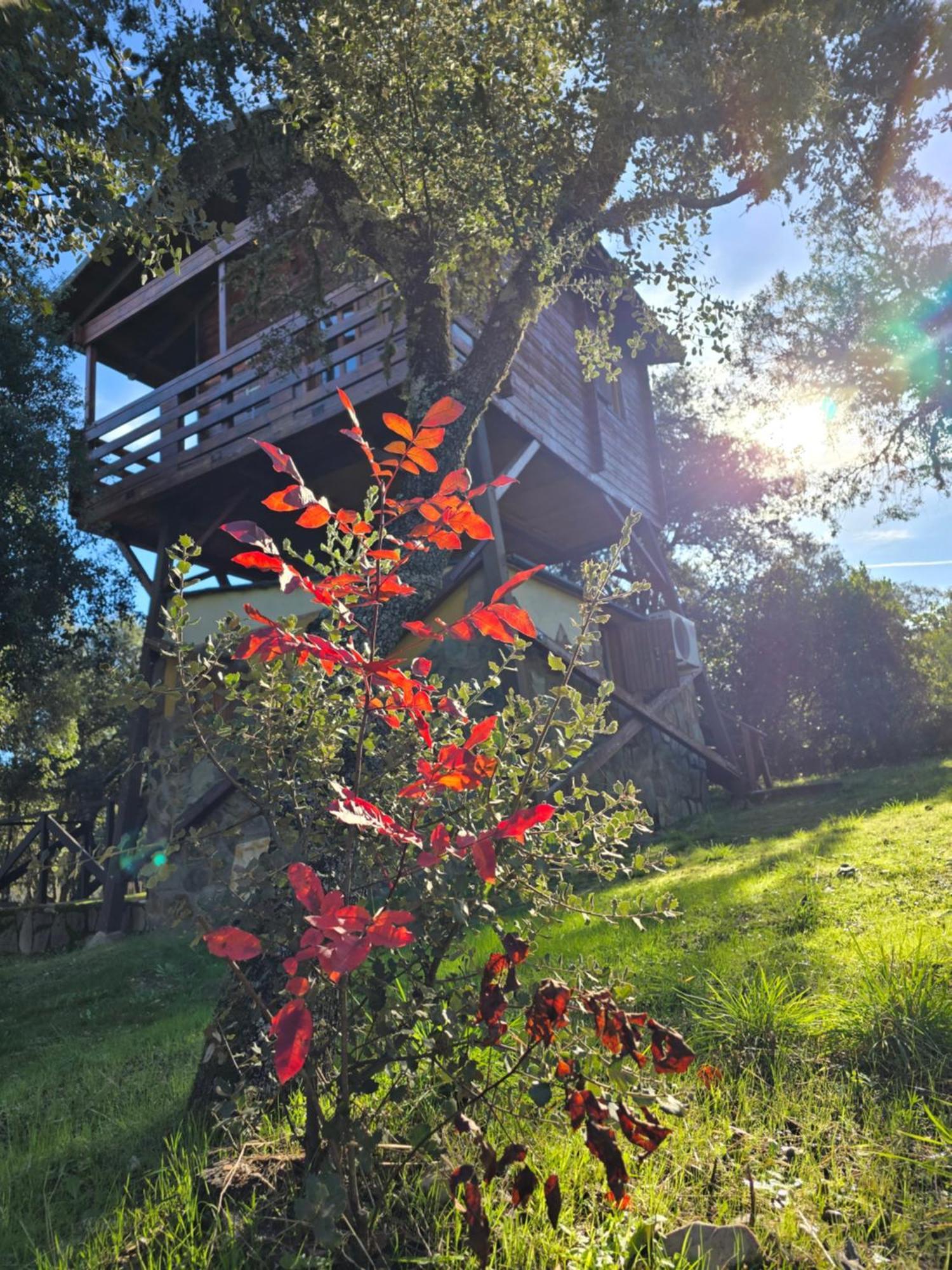 Nuevo Ecolodge Cabaneros Retuerta de Bullaque Zewnętrze zdjęcie